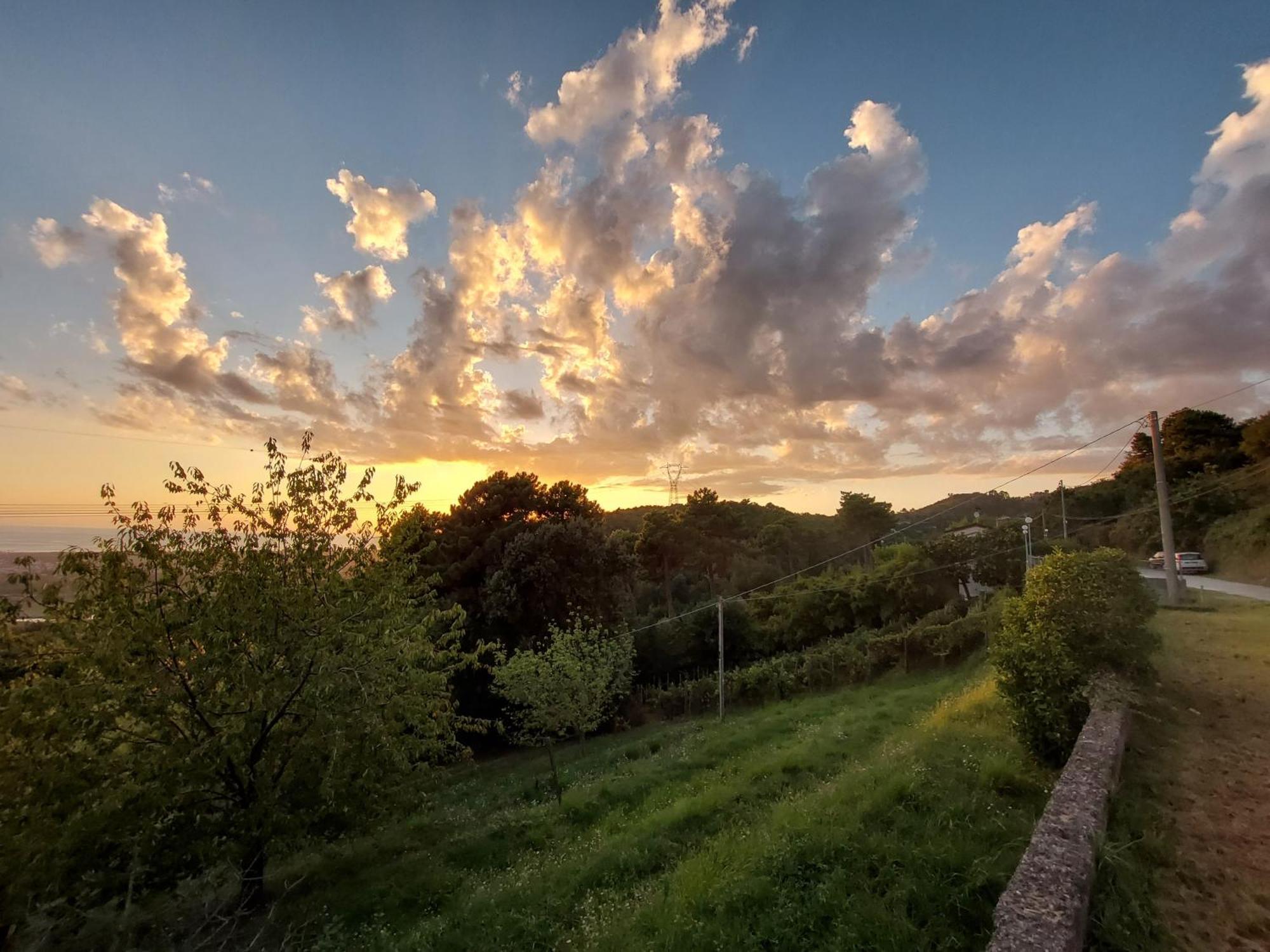 Bellavista Versilia Bed & Breakfast Pietrasanta Exterior photo